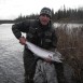 2008-06-Russland-Pana-Mawill mit Panariver-Lachs