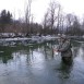 2010-03-Österrich-Mur-Eisgang erschwert die Fischerei