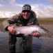 Silber in praller Sonne