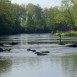 06-2011-Schweden-Mörrum-Pool 15